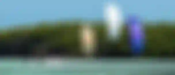 header