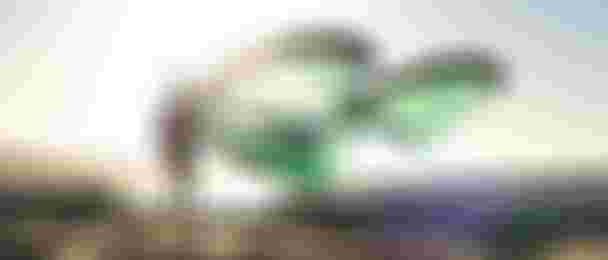 Evo behind the design 2026