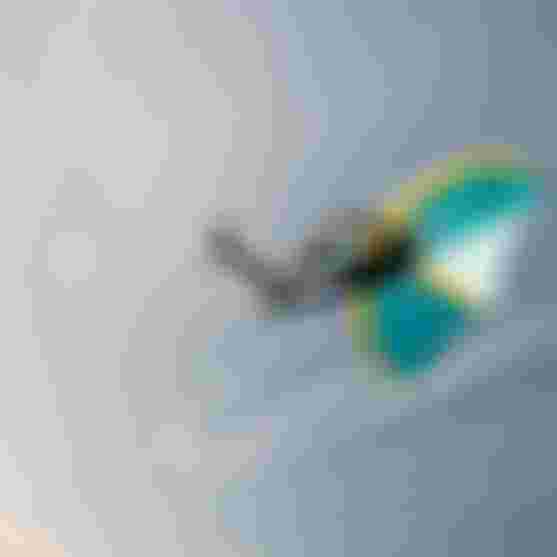 FranzRappolder_AndreaDalCanton