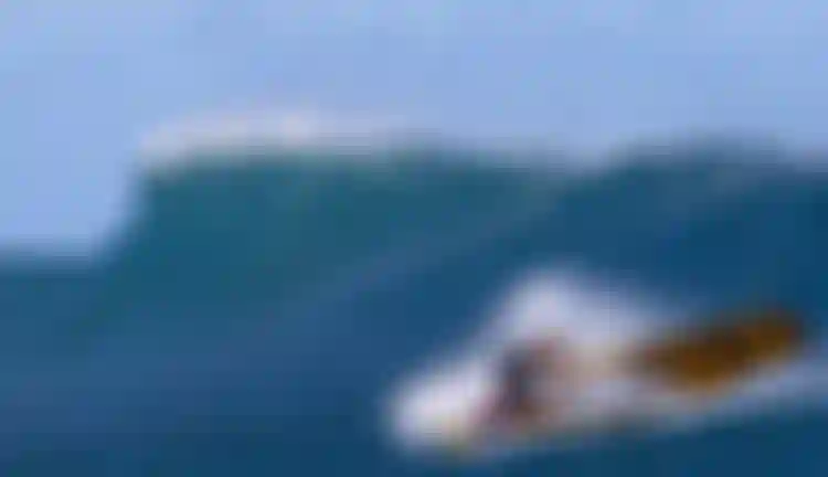 DUOTONE-Windsurf_Spares