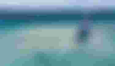 Duotone-Kiteboarding-EvoSLS-RenoRomeu-2024-TobyBromwich-1313