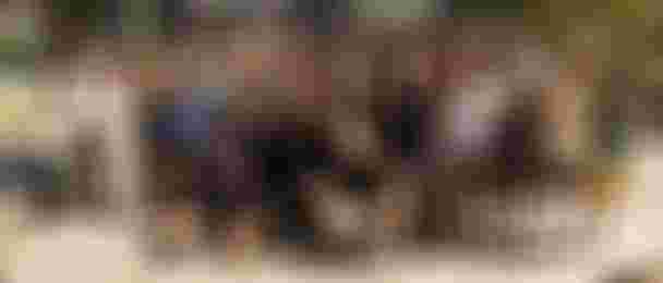 GKA25_TarifaYouth__C1000034_SamuCardenas