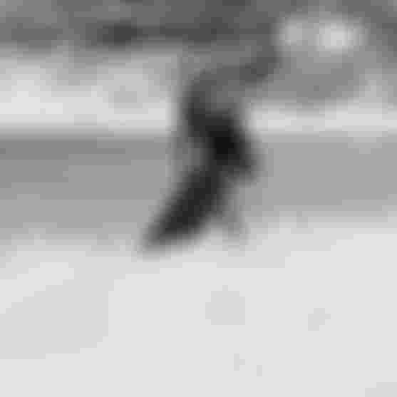 GKA25_TarifaYouth_Finn flÃ¼gel_Y1000210_SamuCardenas