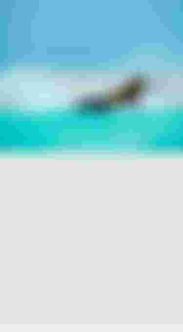 Duotone_Kiteboarding_25_Slide_EVO_mobile