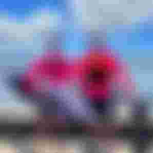 9DAEFD32-92F4-4E5C-BB80-554C1F507809