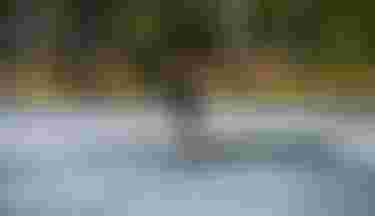 Jeffrey Spencer Wake Foiling with Strider SLS and Whizz Foil