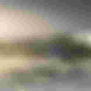 Kristoffer_BottomTurn
