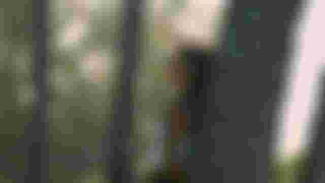 20251112 SHOOTING_DAY_703_19_15_21Standbild043