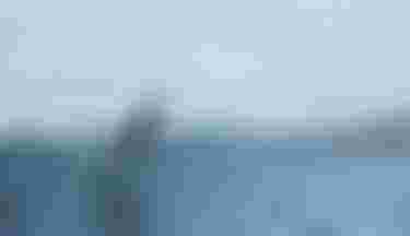 WesleyBrito_byMichaelBernshausen