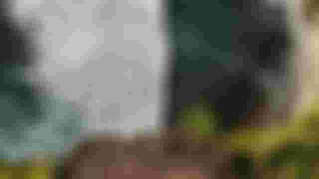 Still 2026-08-21 223434_3451