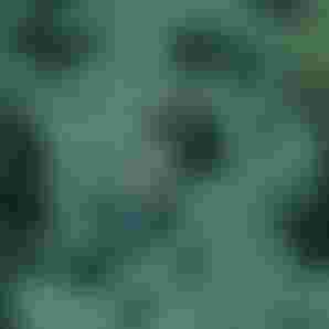 Still 2026-08-21 223434_12411
