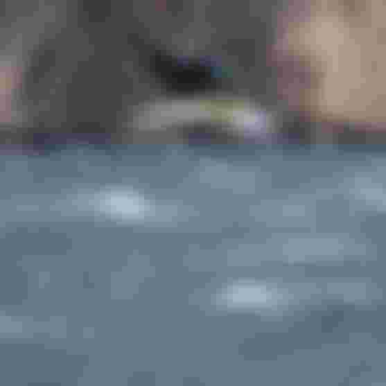 7T8A9024 - 3