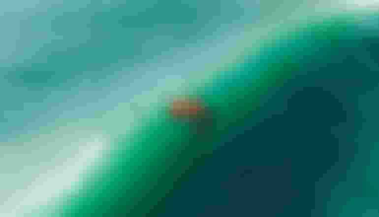 Frames_BV_Ep_hi-9