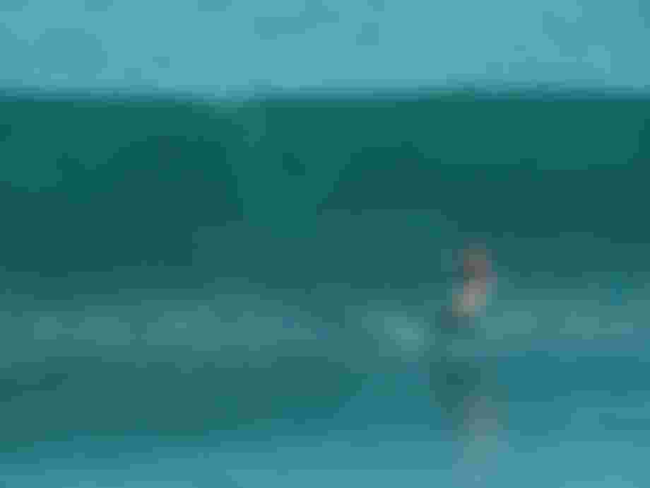 Still 2026-08-21 223434_2321