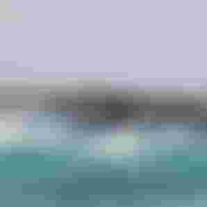 Wes Frames Surf