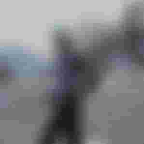 7T8A8718
