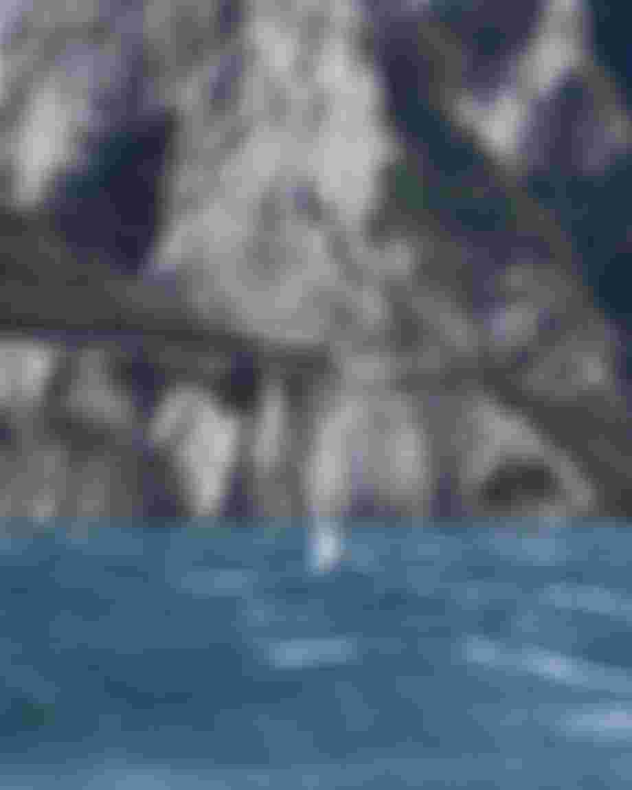 7T8A8685_2
