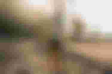 DTS-Duotone-Flow-Air-SLS-Tenerife-2026@rafasoulart34