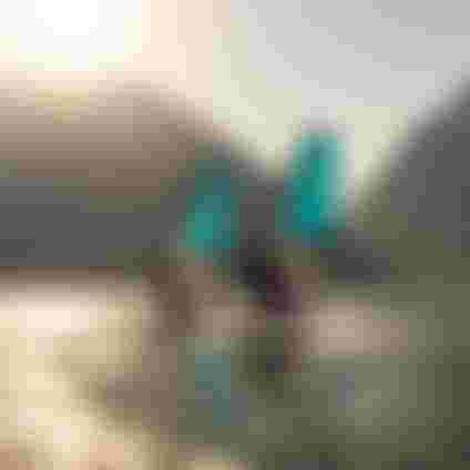 duotone-discipline8-masonry-wind-424x424px