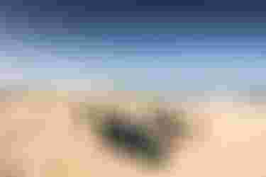 Sky Style SLS on the Beach