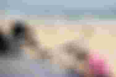 AleksAcherer_bySamuelCardenas