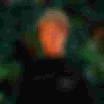 NicoGarcía_@alexthomaas