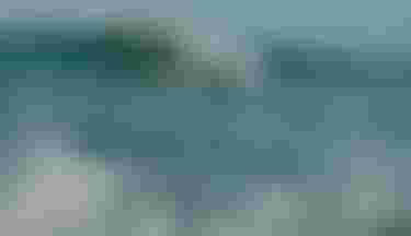 ChiaraSocin_Duotone_byPaulaNovotna