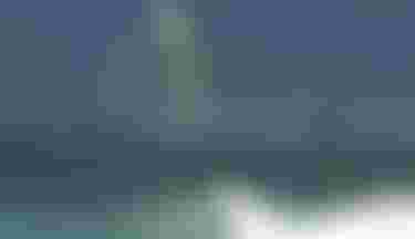 Malae Mcelheny Wing Foiling