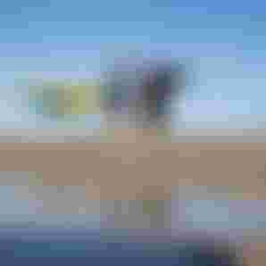 Team_SkyStyleSLS26_UnitDLAB26_Detail_LS_Dakhla_Duotone_by-SamuelCardenas_G1000228