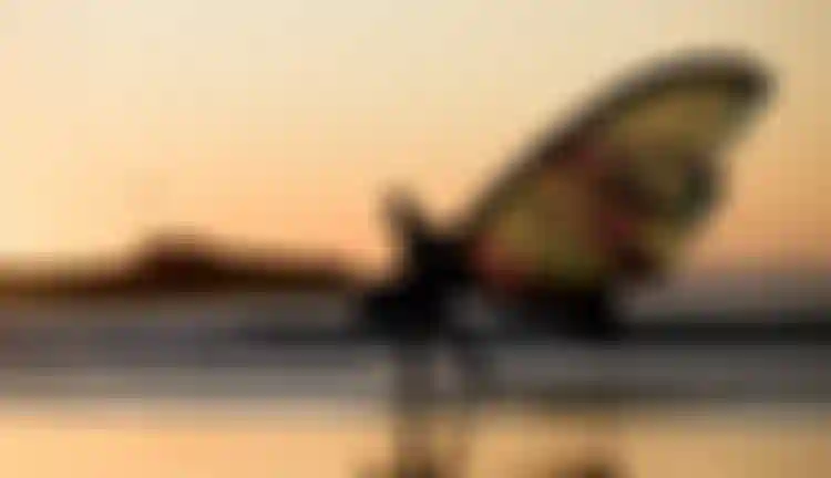 Duotone-Kiteboarding-Aaron-Capetown-Beachwalk-EvoSLS-2023