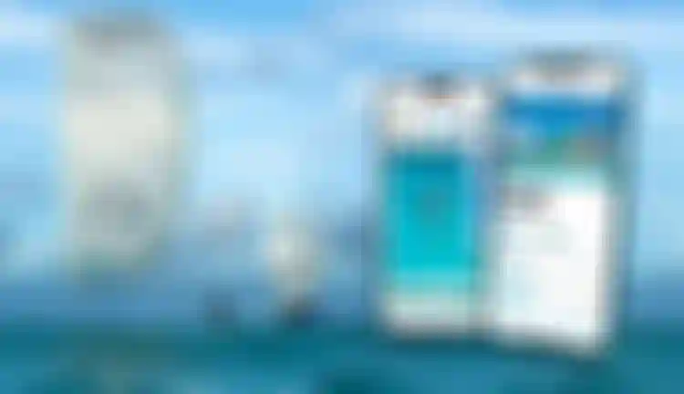 Duotone_Kiteboarding_Academey_App_Survey