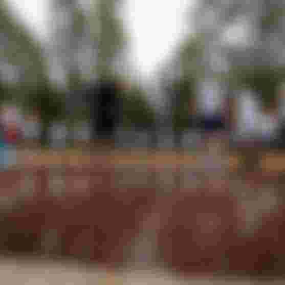 YoungBlood_Invitational2024_bySamuelCardenas