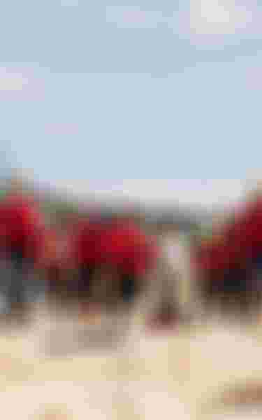 YoungBlood_Invitational2025_bySamuelCardenas