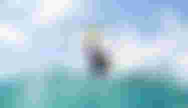 ManonDupé_bySamuelCardenas