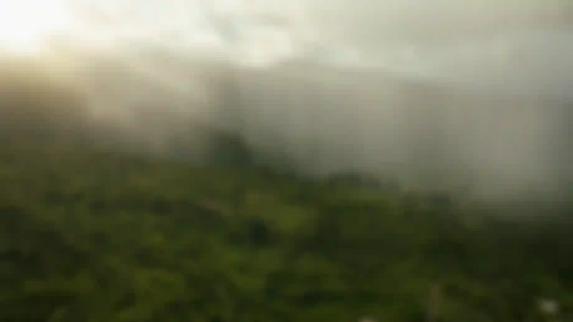 Rainforest_sunrise