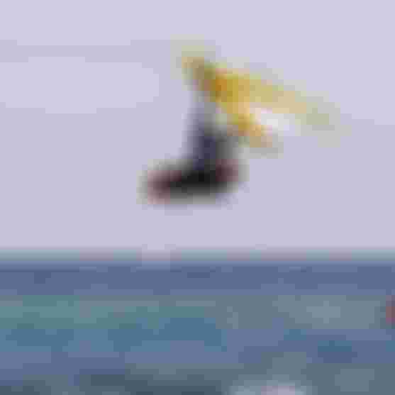 GWA Youth Worlds La Palma