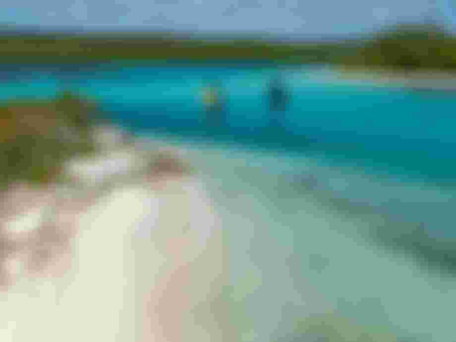 Bahamas_KlaasVoget-2482
