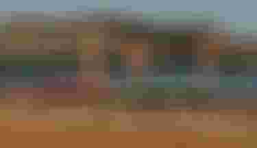 Duotone SUP Instructor showing how to paddle correctly