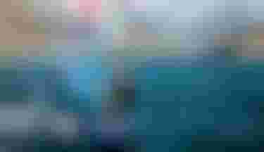 MariaBehrens_D6I9142