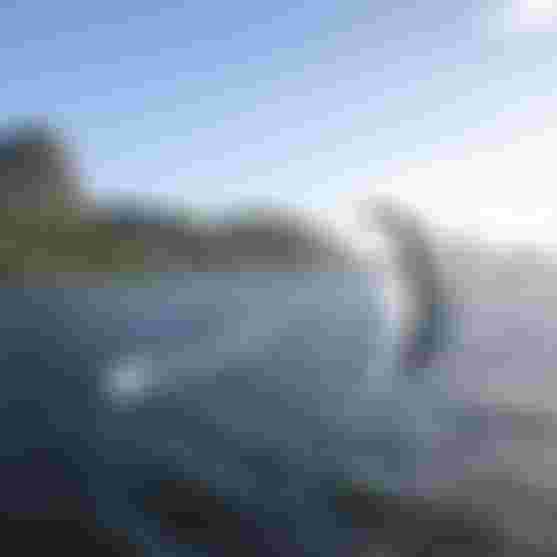 Two Kitesurfers in front of a mountain with clear blue sky