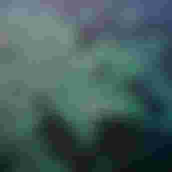 Fanatic SUP Composite Allround