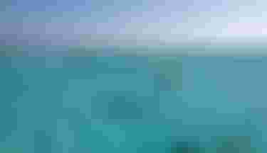 RoccoSotomayor_Skybrid25_VentisFSDLAB25_Duotone_Egypt_by-AndreaDalCanton_DJI_0046