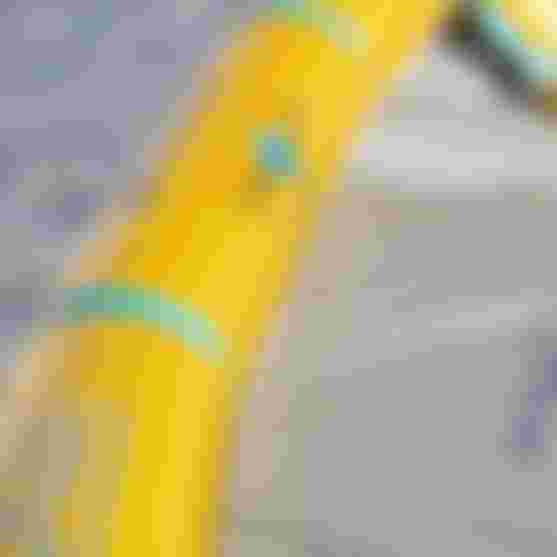Duotone-Kiteboarding-RebelD-LAB-Details-Venezuela-2025-TobyBromwich-3011
