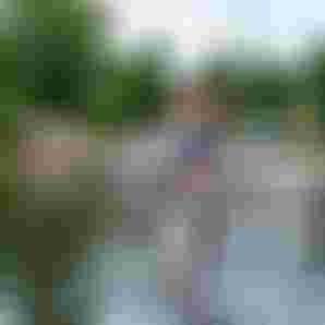 YoungBloodCamp_LakeLipno