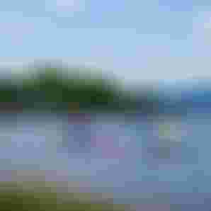 YoungBloodCamp_LakeLipno