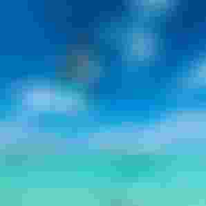 DTF-Duotone-Slick-SkyStyleSLS-GollitoEstredo-2024-TobyB