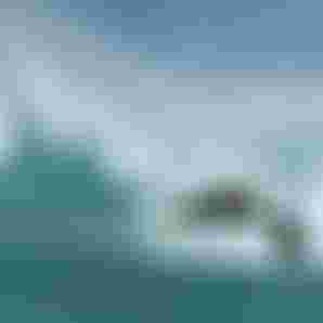Tom Auber_CAU_0423
