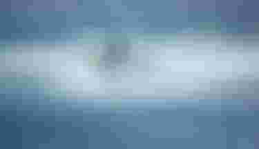 _D3A2896_VERTICAL