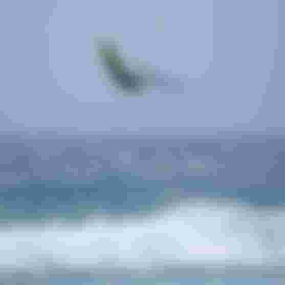 _D3A2849_VERTICAL