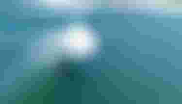 TomAuber_byJeanLouisDeHeeckeren